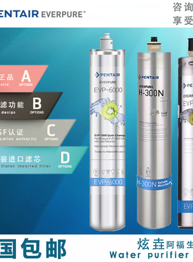 原装美国爱惠浦滤芯EVP3000/ EVP6000/ H300/H300-N主滤芯净水器