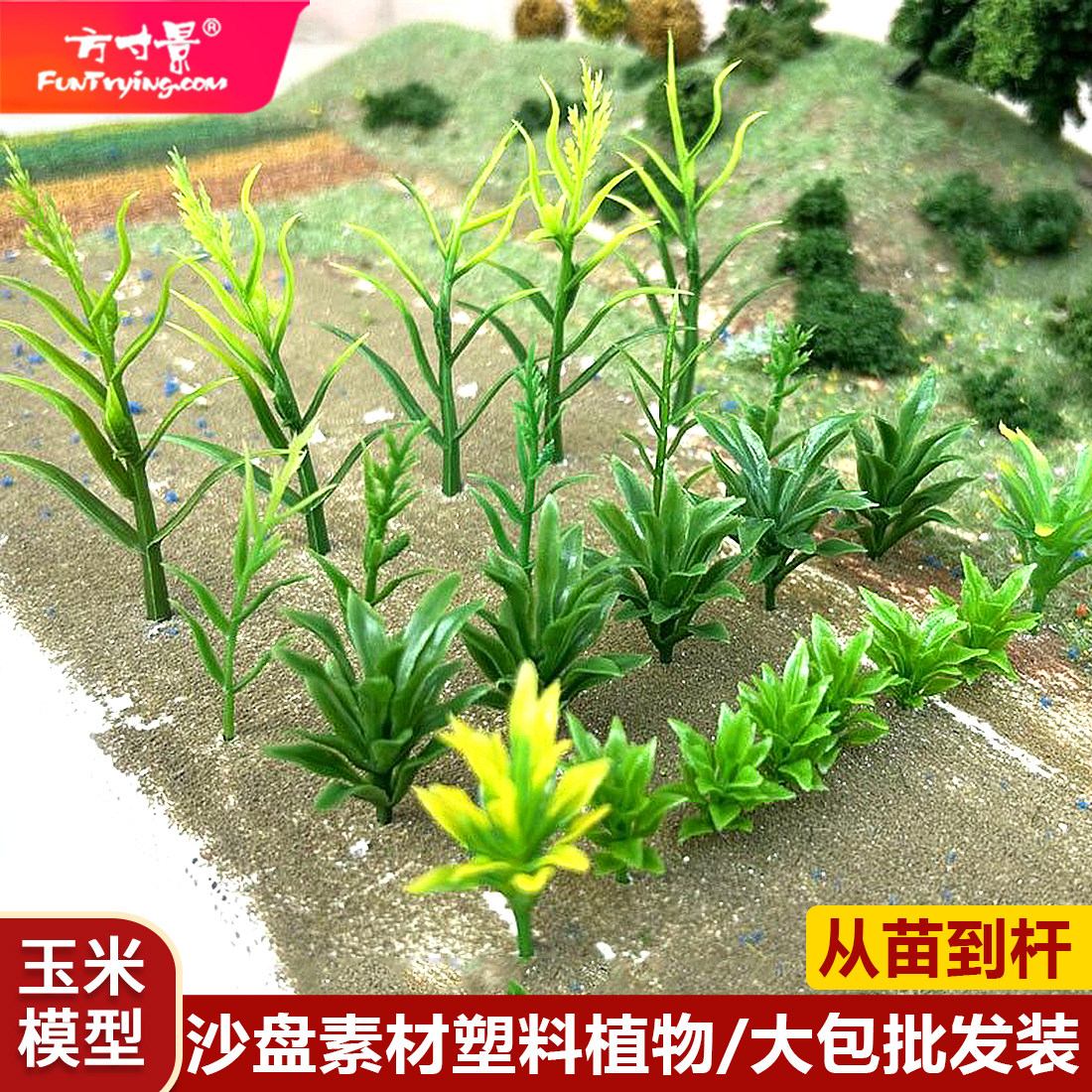 方寸景微缩仿真玉米苗农作物绿植塑料模型庄稼场景批发装500个