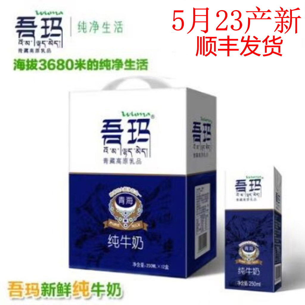 清真青海吾玛纯牛奶青藏高原无添加12*250ml 5月23日产 顺丰发