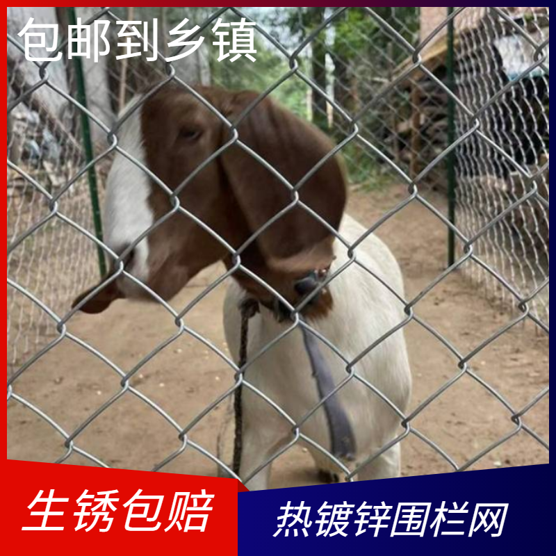 养殖场钢丝网果园铁丝网围栏鸡羊狗猪牛隔离圈地围山热镀锌勾花网