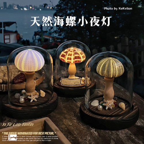 成品海螺小夜灯生日圣诞节礼物贝壳海胆灯diy手工材料包活动沙龙