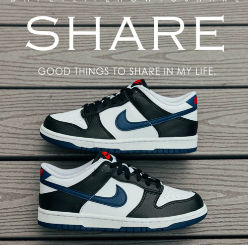 耐克/Nike Dunk Low 舒适经典黑白百搭透气运动休闲鞋 HJ9202-001