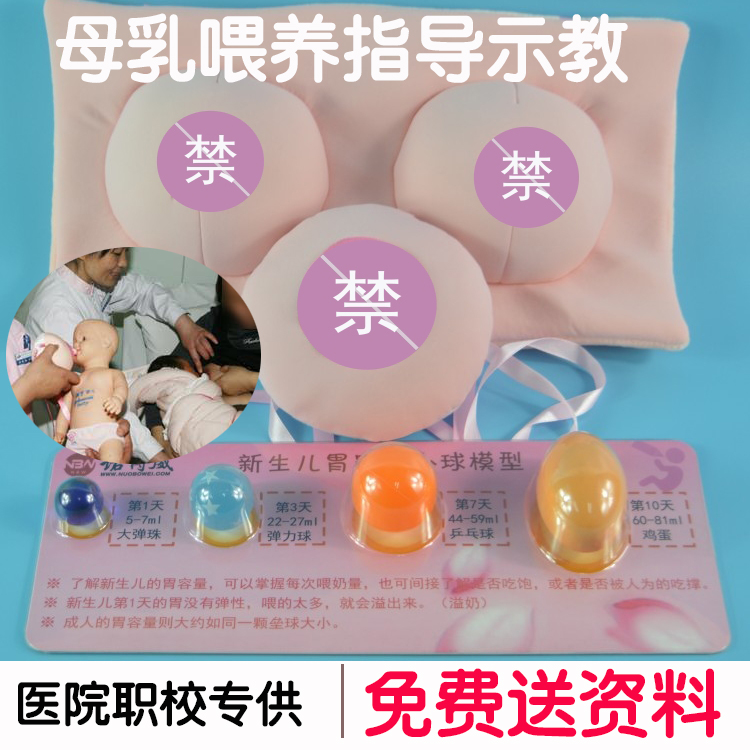 计生委/卫生院 母乳喂养指导展示模型 仿真假乳房胃容量小球模型