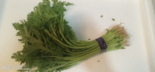 新鲜蔬菜 新鲜蒿子杆 蒿菜 500g