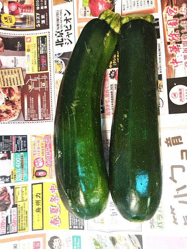 新鲜青节瓜   新鲜西葫芦    绿西葫芦    500g