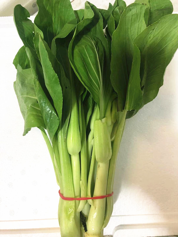 新鲜白菜苔青菜 500g京津冀满68包邮顺丰-封面