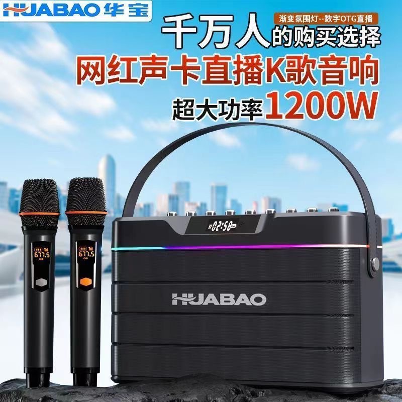 新款华宝F105双话筒 重低音 大功率 蓝牙音响 户外家庭k歌 乐器音
