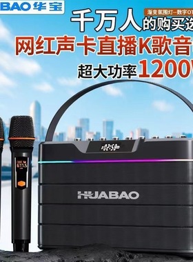 新款华宝F105双话筒 重低音 大功率 蓝牙音响 户外家庭k歌 乐器音