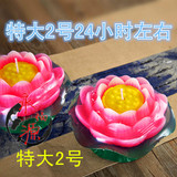 Bougie - Ref 2487813 Image 10