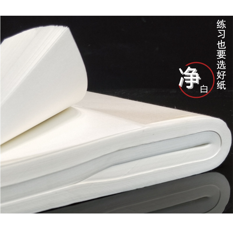 熟宣纸花草植物花叶手工古法造纸云母厚宣纸手工体验活字印刷DIY