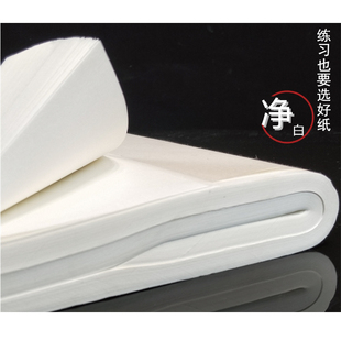 熟宣纸花草植物花叶手工古法造纸云母厚宣纸手工体验活字印刷DIY