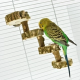 Лестница, качели, интеллектуальная игрушка, можно грызть