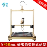 Сюанфенг окрашенная в бровь Сорока, брат, брат воск, бозуй