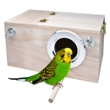 Тигр пион -попугай коробка