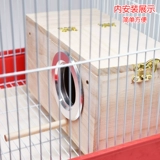 Тигр пион -попугай коробка