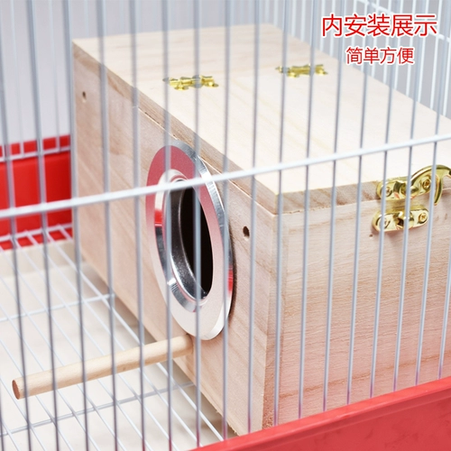 Тигр пион -попугай коробка