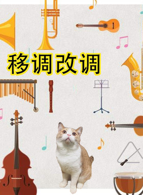 移调改调 高音次中音萨克斯 长笛 大小提琴 单簧管黑管