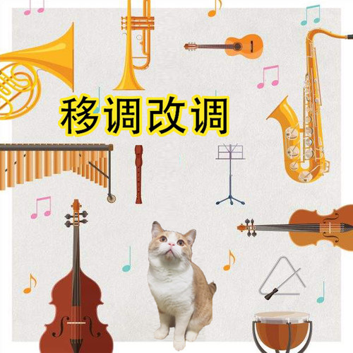 移调改调 高音次中音萨克斯 长笛 大小提琴 单簧管黑管