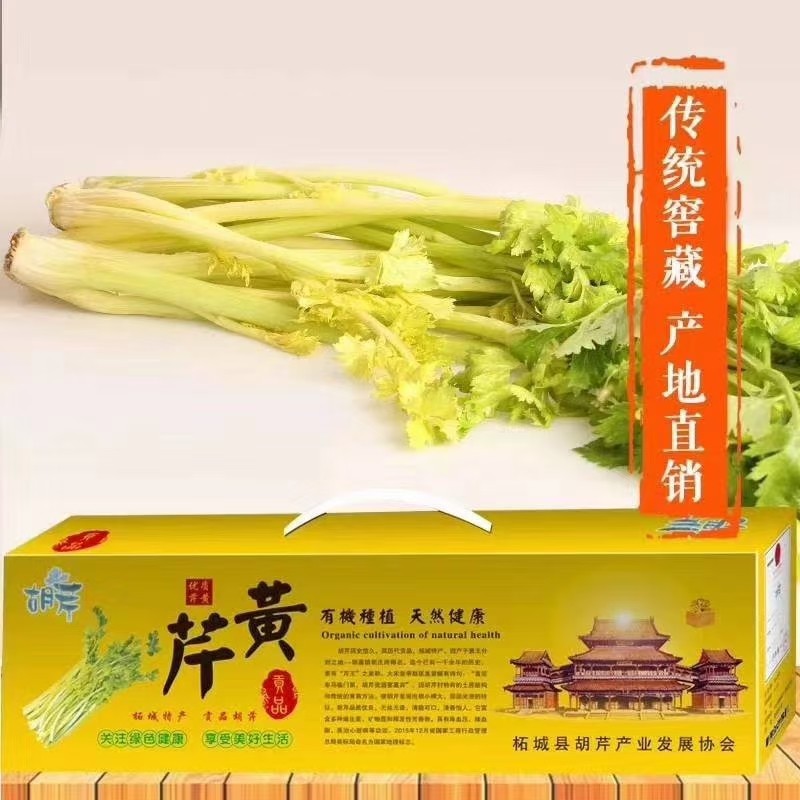 胡芹芹黄——新鲜芹菜河南特产商丘贡品送礼品下酒菜包饺子馅年货