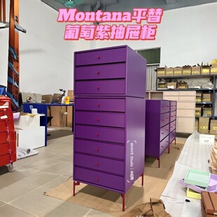 瑞典Arte 多巴胺收纳柜Montana葡萄紫中古储物柜子五六七斗柜定制