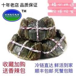 特大现货大闸蟹鲜活螃蟹6-5.5两公4两母蟹10只礼盒大纵湖清水湖鲜