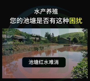 虫水清红水一泼灵杀灭甲藻裸甲藻鞭毛藻铁锈水红浓消水产养殖 50