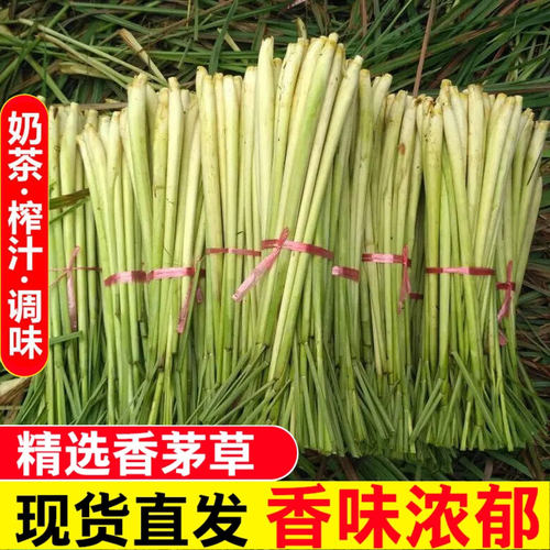 香茅草柠檬草冬阴汤奶茶店调批发