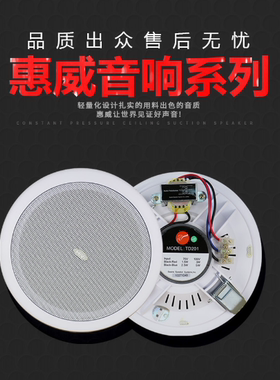 Hivi/惠威TD201/TD202/TD205/TD206嵌入式吸顶喇叭吊顶天花音响箱