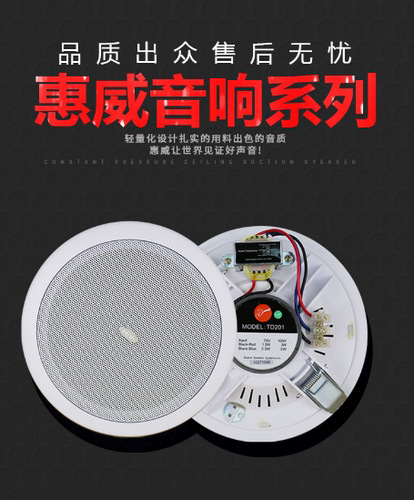 TD206背景音乐吸顶喇叭Hivi惠威