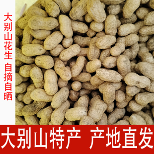 2025年新货大别山自种花生晒干花生生花生种子3斤5斤带壳花生 包邮