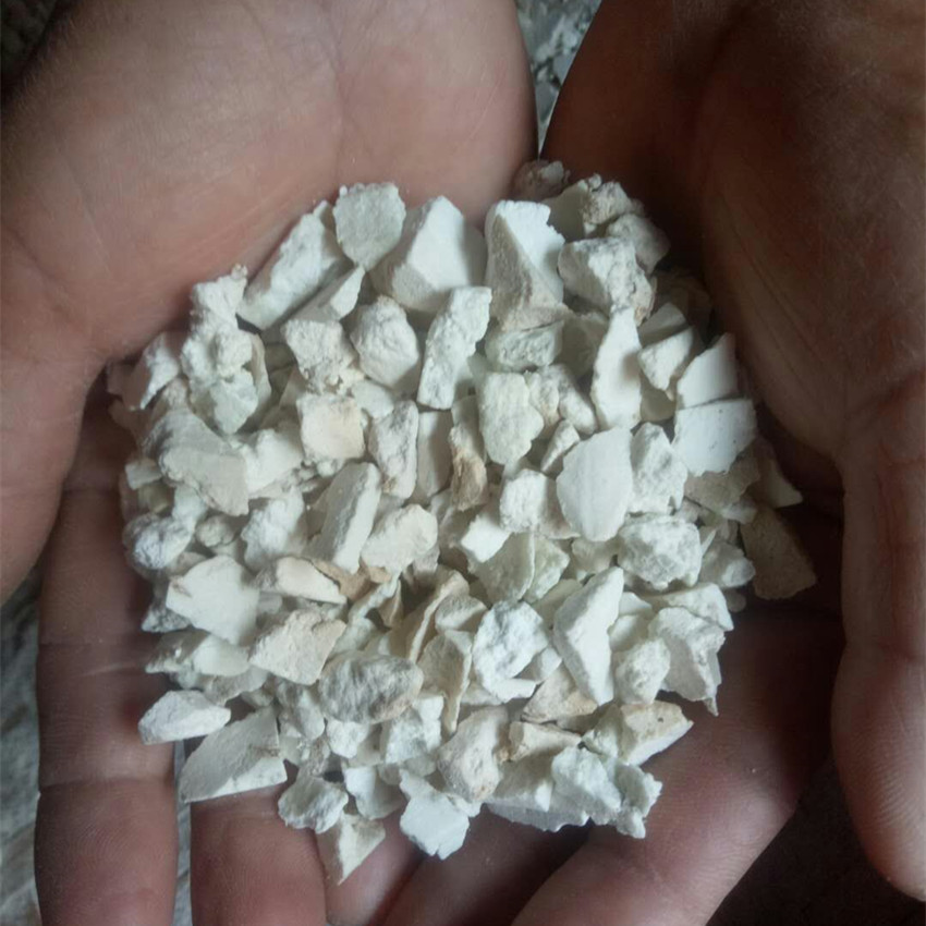茯苓中药材正品云南哀牢山无硫野生茯苓小粒500克煮粥泡茶