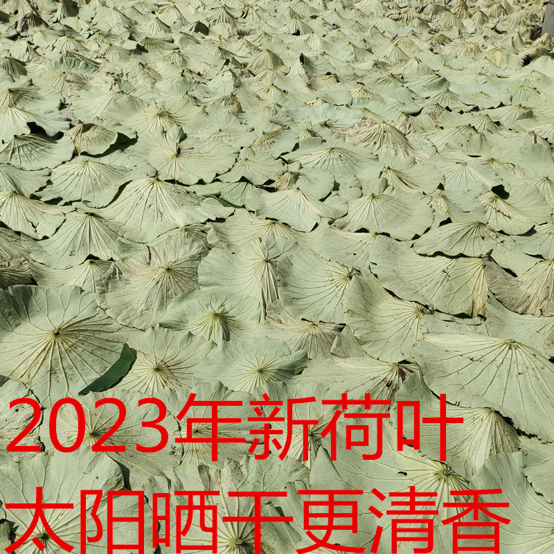 干荷叶片整张500克糯米鸡材料