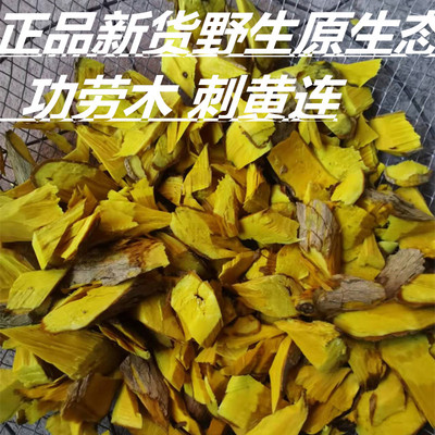 野生功劳木云南中药材刺黄连正品