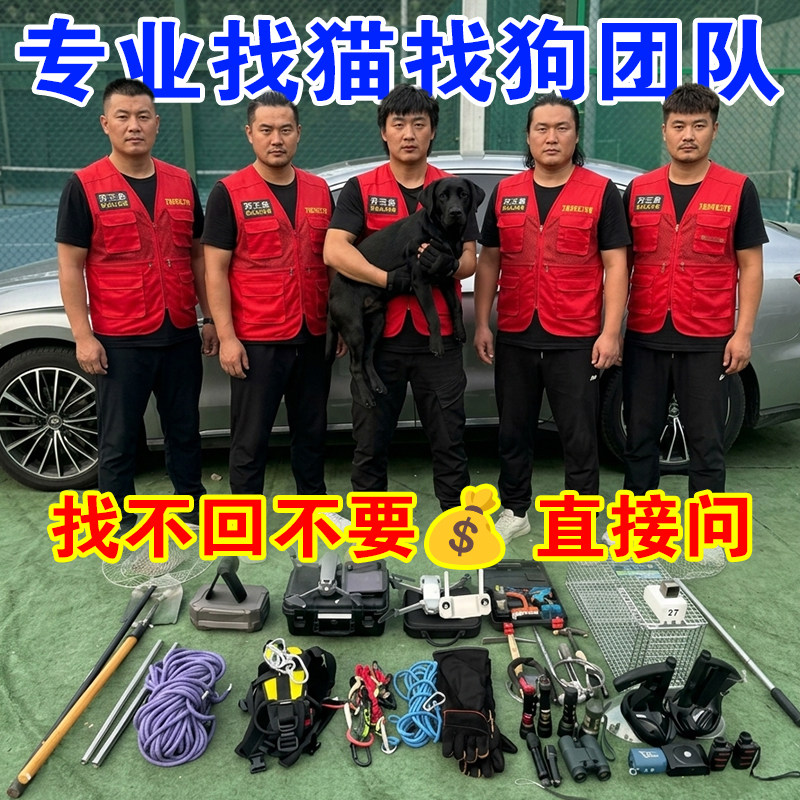 全国上门找猫找狗服务专业寻宠侦探找猫找狗团队同城24小时紧急