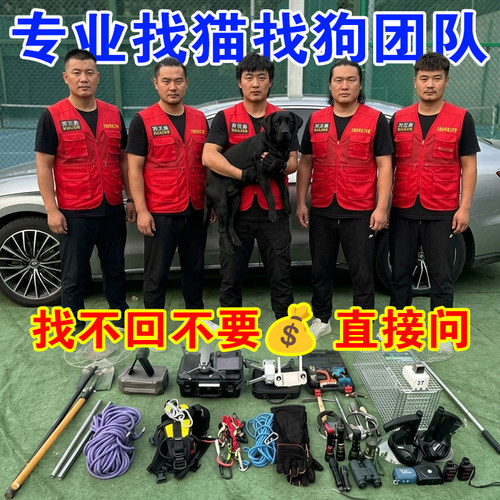全国专业找猫找狗团队，营业执照