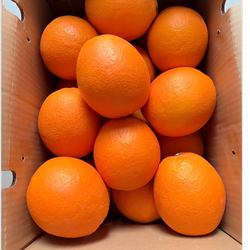 精品江西寻乌脐橙当季鲜果自家果园现摘孕妇水果手剥橙香浓郁爆汁