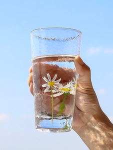 日式 玻璃杯 雏菊家用喝水杯子花茶杯冷饮果汁杯酒杯