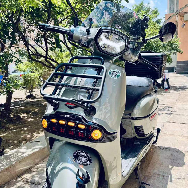 适用龙嘉sixties300i维多利亚150前书包架 前货架 行李架 载物架