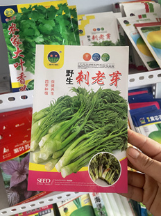 刺老芽种子老芽味山野菜东北嫩芽蔬菜种子刺龙芽菜籽300粒