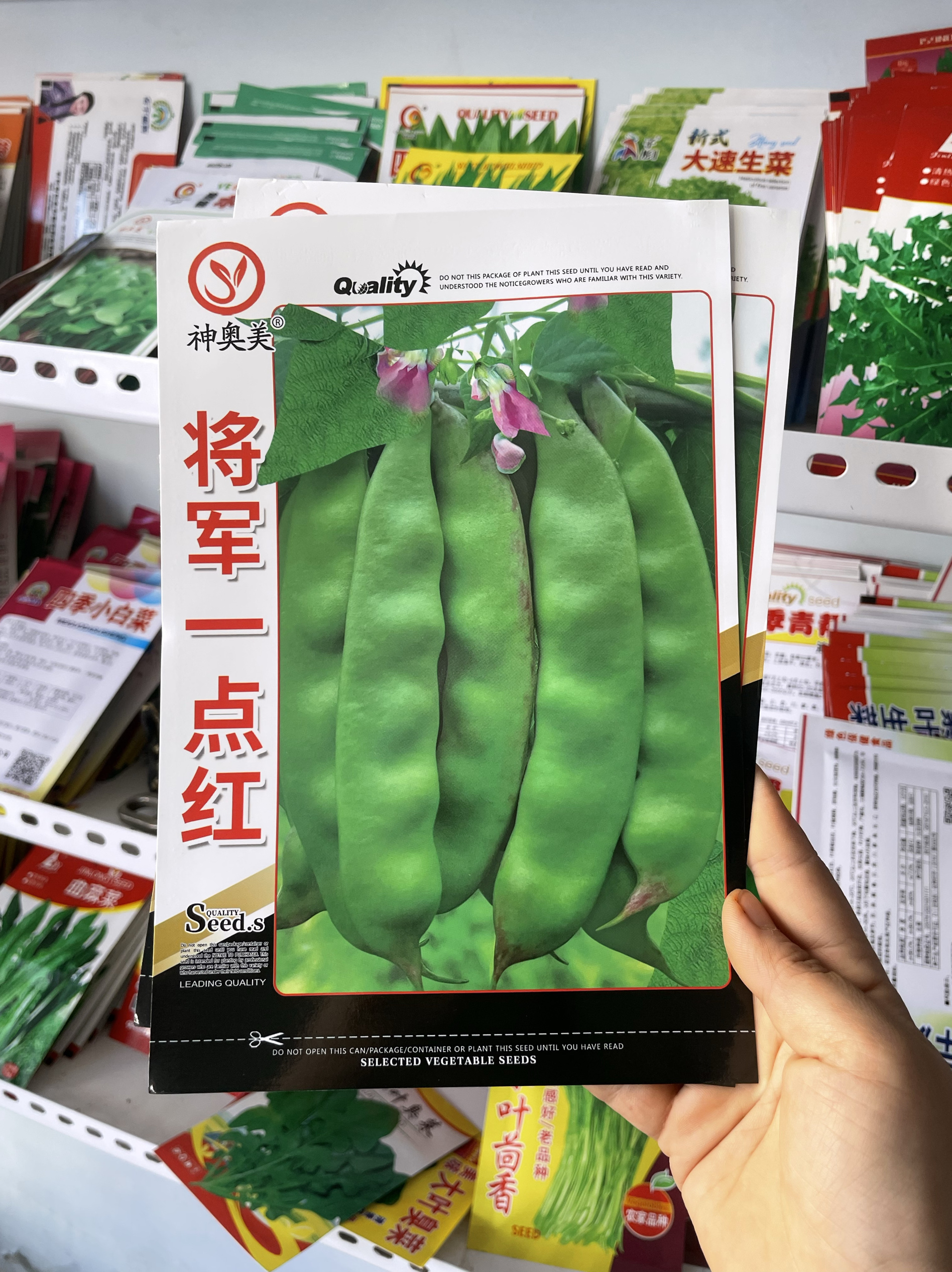 东北一点红油豆角种子架豆豆角籽农家将军一点红种子角籽无筋