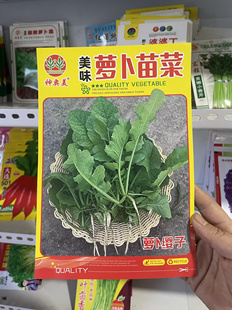 白萝卜芽菜种子萝卜苗种籽白萝卜籽萝卜缨子种籽萝卜叶蘸酱菜
