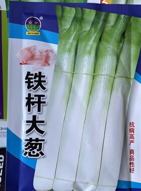 铁杆大葱种子新籽秋季大葱籽白露葱冬储高白大葱种籽50克包邮