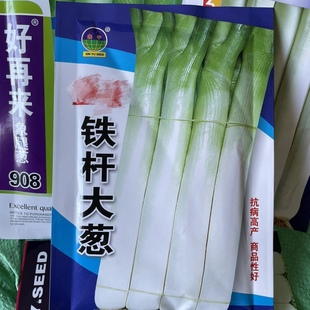 铁杆大葱种子新籽秋季大葱籽白露葱冬储高白大葱种籽50克包邮