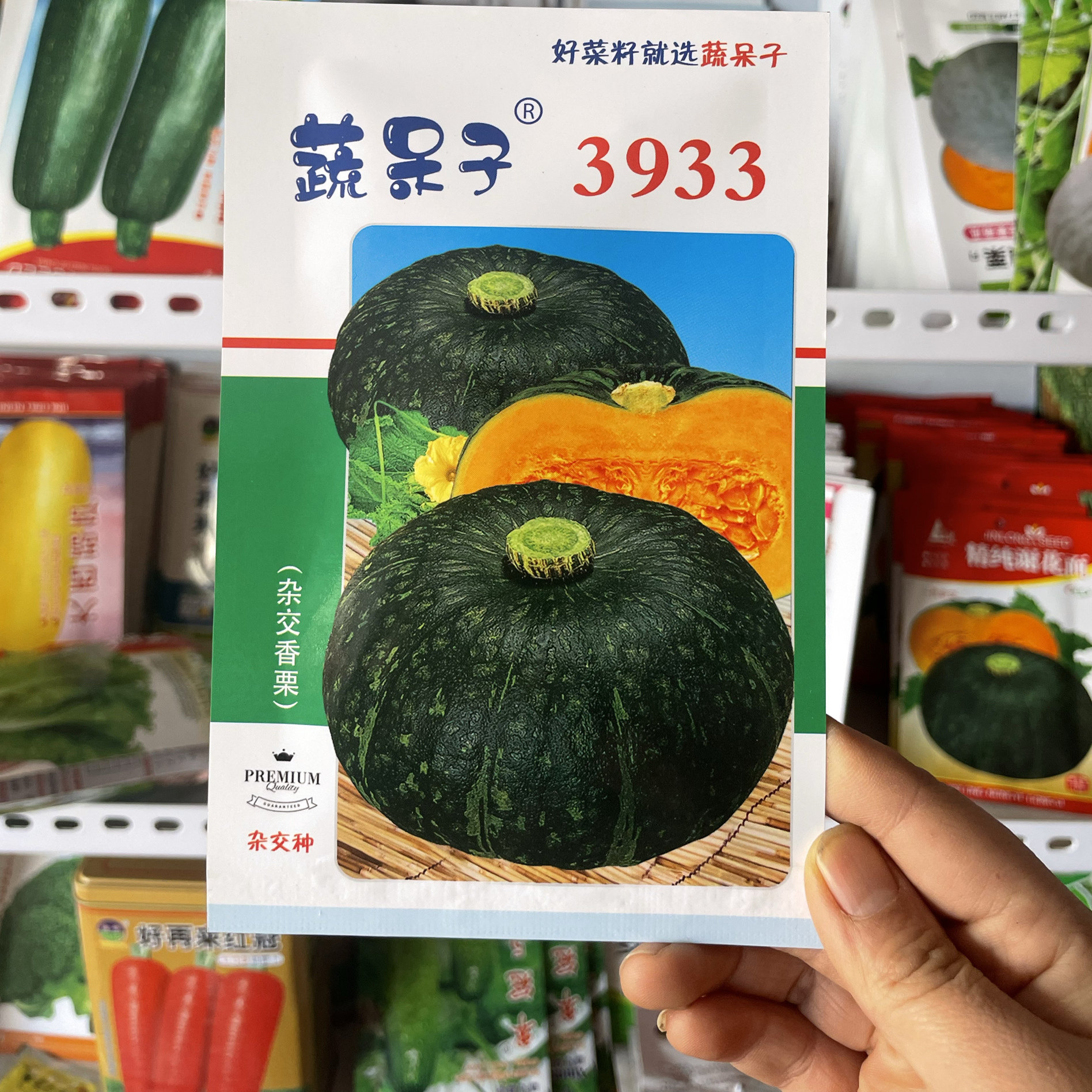3933东北面窝瓜种子甜面窝瓜籽粉糯南瓜子皮薄肉厚香面无渣10粒
