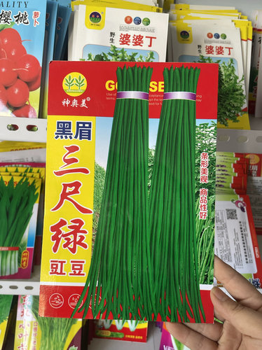 农家豇豆种子长豆角籽十八豆绿霸豇豆籽春季蔬菜种20克三尺绿豆角