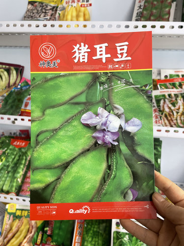东北眉豆种子猪耳朵扁豆梅豆