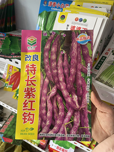 特长紫红钩豆角种子无筋豆角籽农家豆角籽搭架面糊东北油豆角子