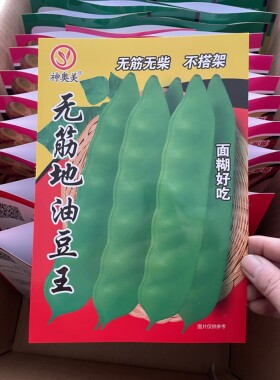 新籽东北油豆角籽矮生无筋地油豆角种子不搭架春季蔬菜种子包邮