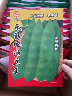 新籽东北油豆角籽矮生无筋地油豆角种子不搭架春季蔬菜种子包邮