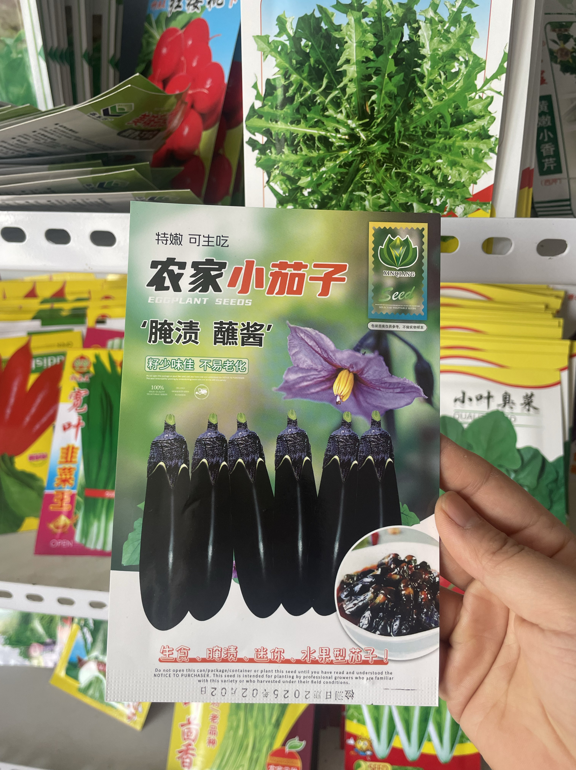 农家小茄子种子紫黑小茄子种籽迷你茄子籽蘸酱腌渍皮薄软糯